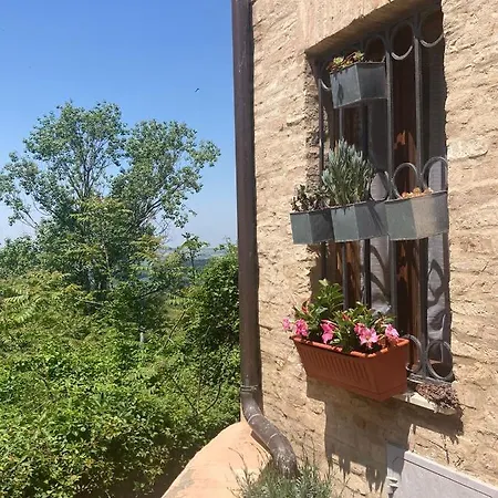 Ciribacco 3* 马切拉塔